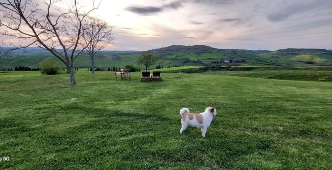 Barbi Farm stay Monticchiello