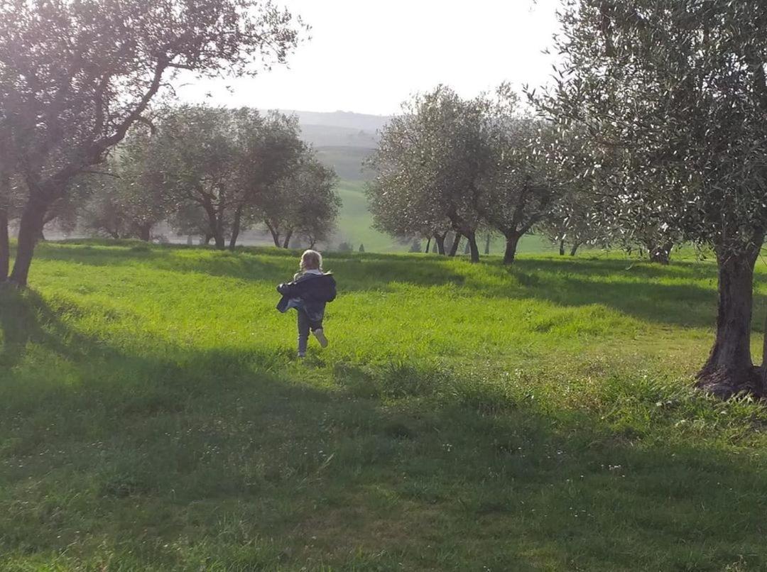 Barbi Farm stay *