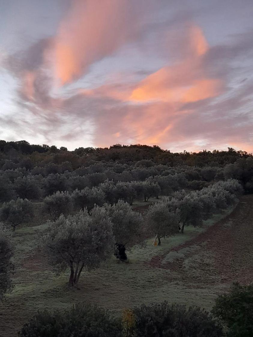 Barbi Farm stay Monticchiello