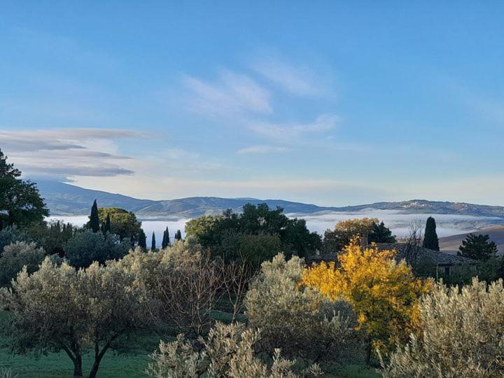 Barbi Farm stay Monticchiello